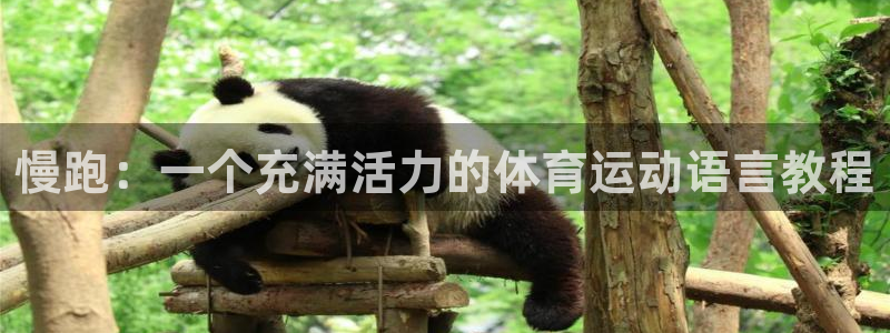 米兰体育app下载：慢跑：一个充满活力的体育运动语言教程