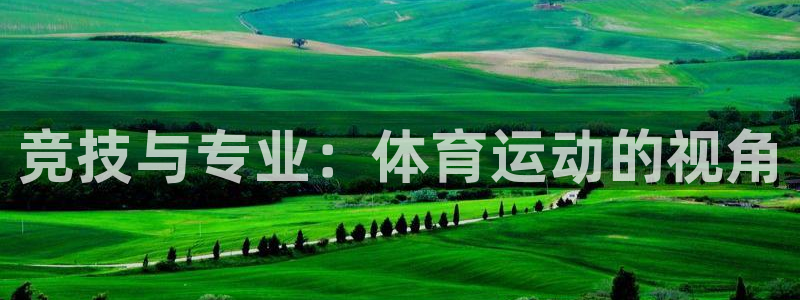 米兰体育网址：竞技与专业：体育运动的视角