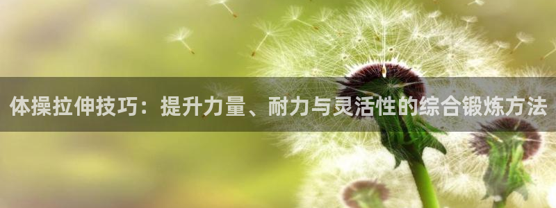 米兰体育靠谱吗：体操拉伸技巧：提升力量、耐力与灵活性的综合锻炼方法