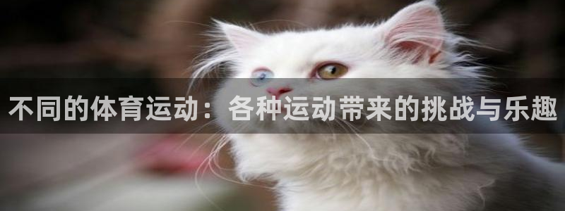 米兰体育下载官网最新版：不同的体育运动：各种运动带来的挑战与乐趣
