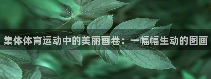 米兰体育官网入口：集体体育运动中的美丽画卷：一幅幅生动的图画