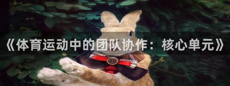 米兰体育app：《体育运动中的团队协作：核心单元》